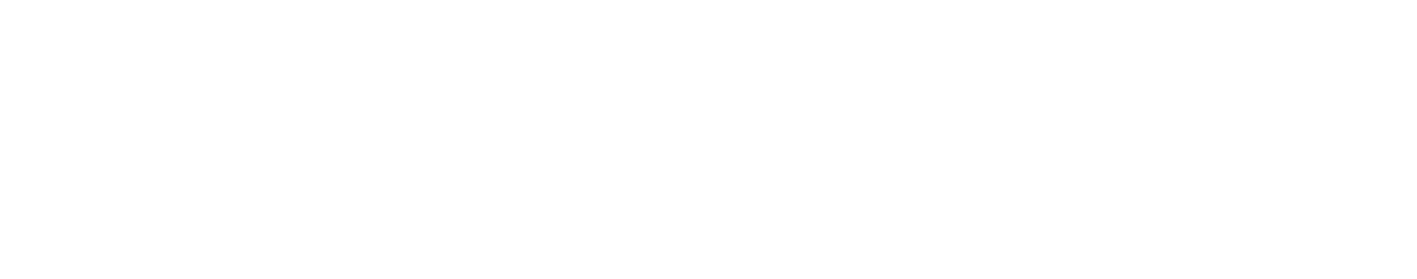 Baker Strategy Group